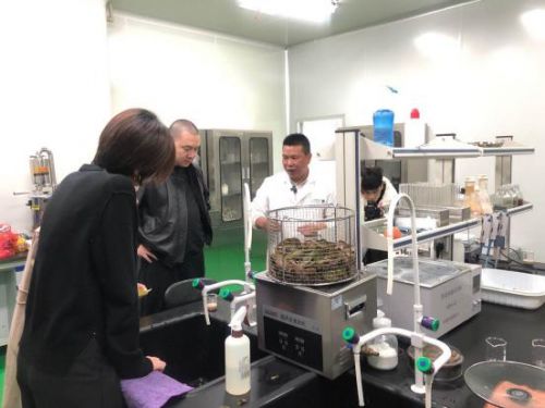 科技賦能農業新篇章 CCTV 1聚焦云谷田園LED植物工廠，珍稀本草金線蓮成功培育引領生物技術新服務